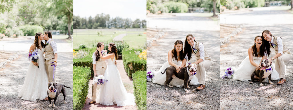 tipsy goat estate wedding photos with same sex couple and dog